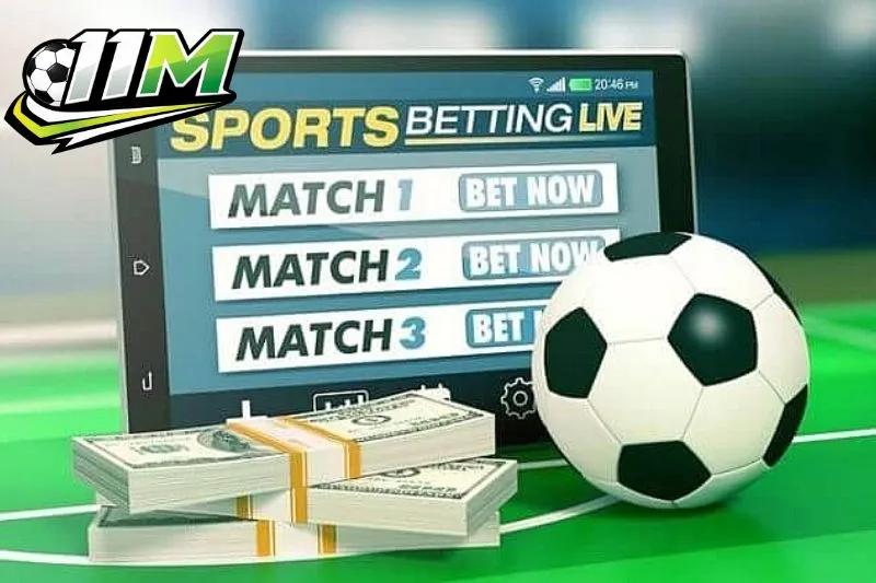 Trách nhiệm người dùng