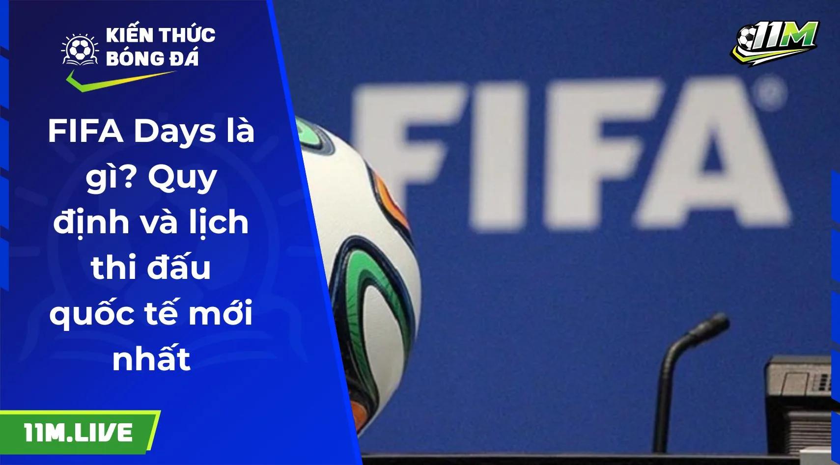 FIFA Days là gì? Quy định và lịch thi đấu quốc tế mới nhất