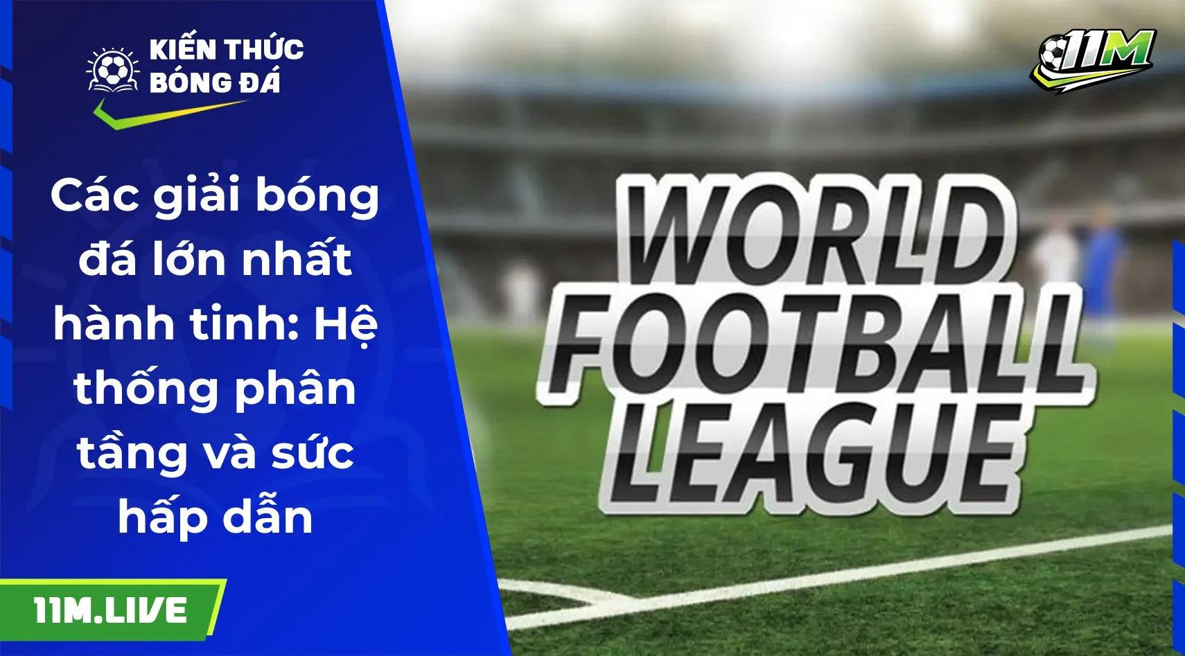 Các giải bóng đá lớn nhất hành tinh: Hệ thống phân tầng và sức hấp dẫn
