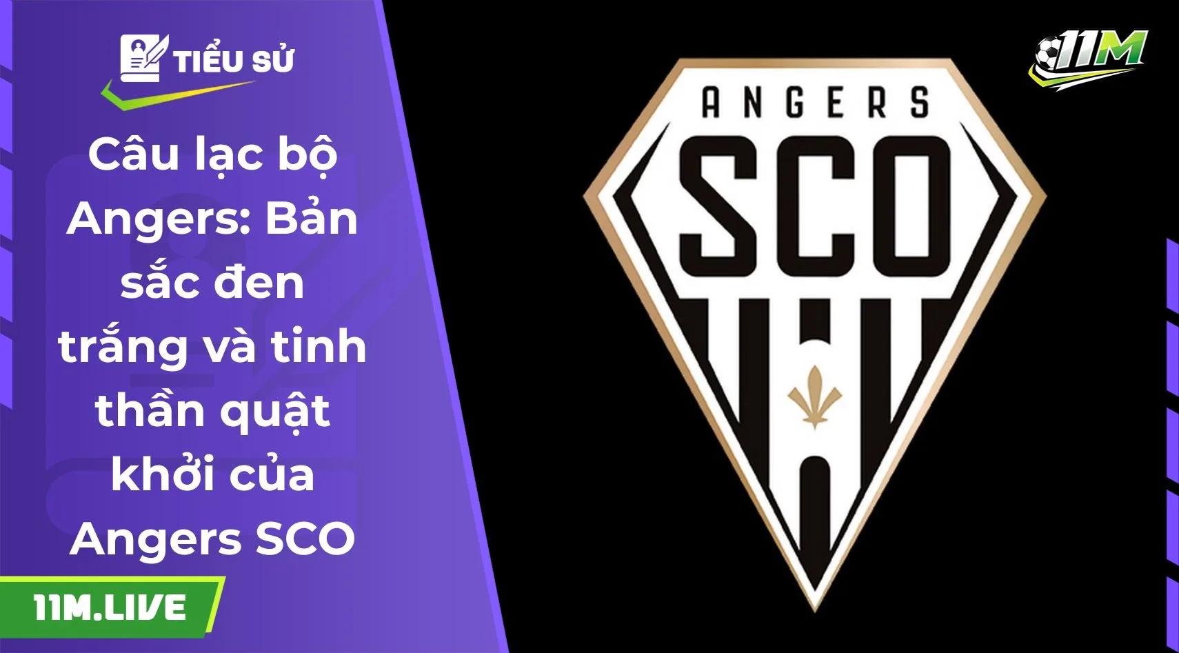 câu lạc bộ Angers