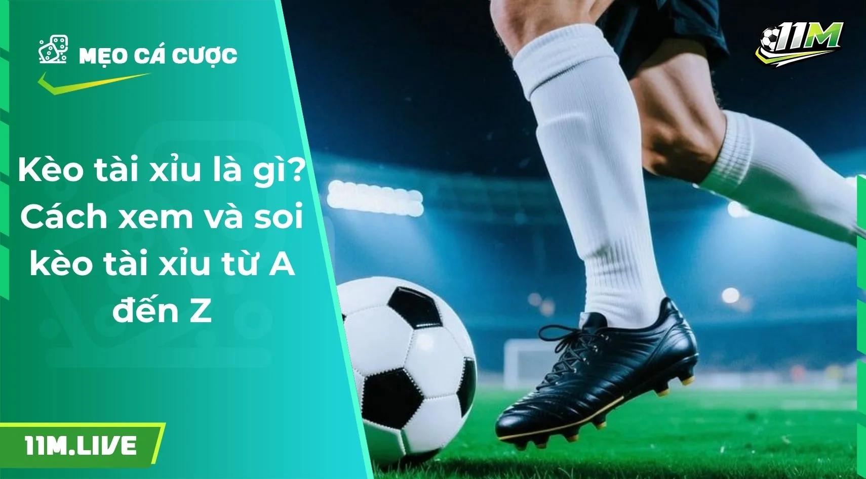 Kèo tài xỉu là gì? Cách xem và soi kèo tài xỉu từ A đến Z