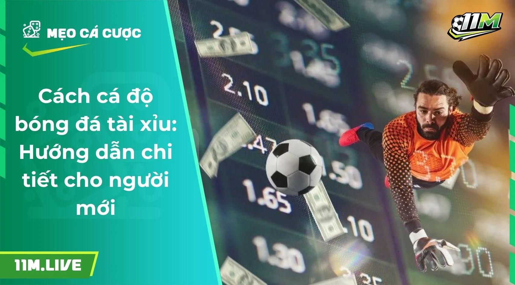 Cách cá độ bóng đá tài xỉu: Hướng dẫn chi tiết cho người mới
