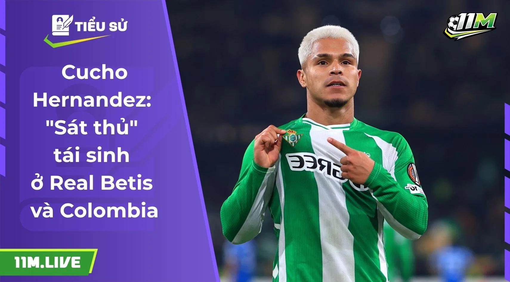 Cucho Hernandez: "Sát thủ" tái sinh ở Real Betis và Colombia
