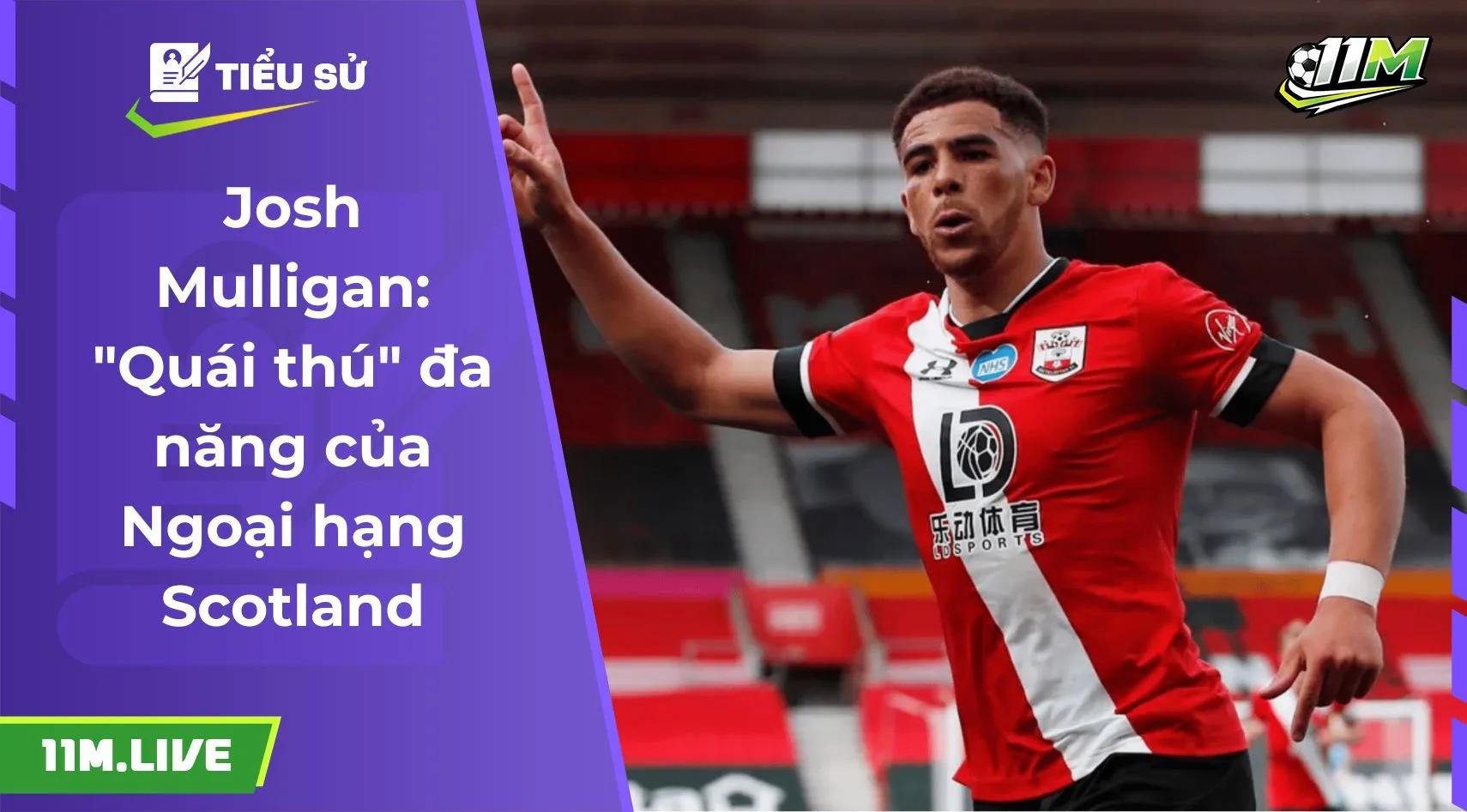 Che Adams là ai? "Sát thủ" Scotland rực sáng tại Serie A