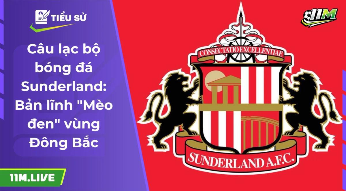câu lạc bộ bóng đá sunderland