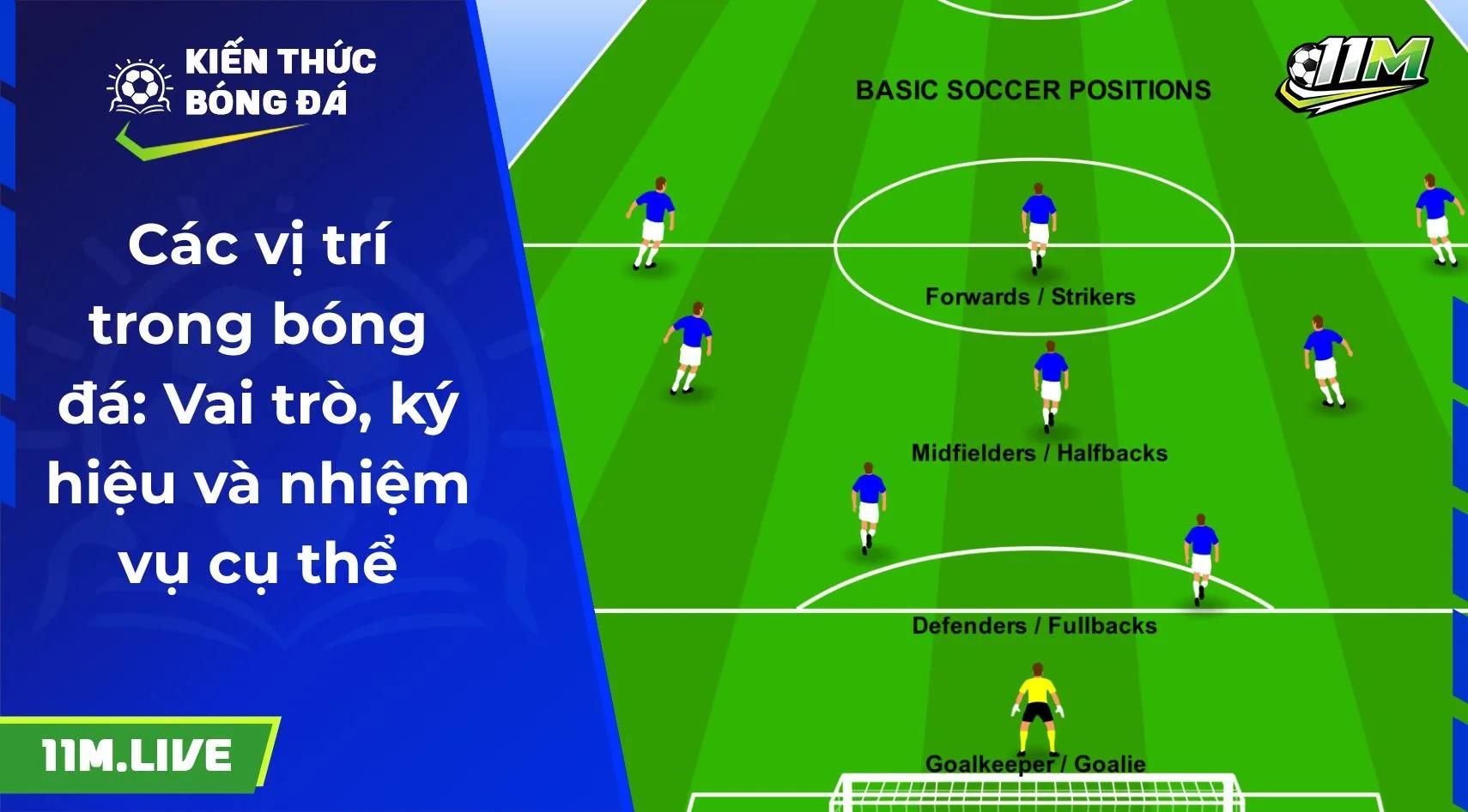 Các vị trí trong bóng đá: Vai trò, ký hiệu và nhiệm vụ cụ thể
