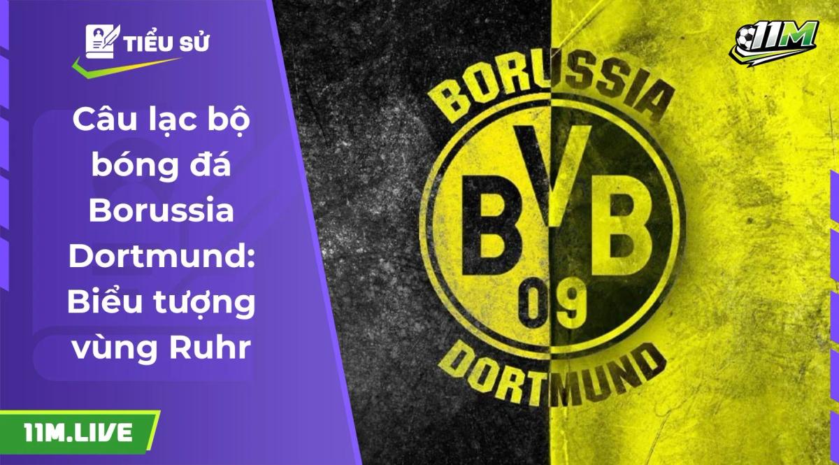 câu lạc bộ bóng đá borussia dortmund