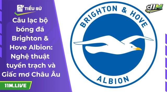 câu lạc bộ bóng đá brighton & hove albion