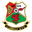 llanelli AFC