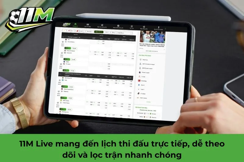 11M live l&agrave; g&igrave;