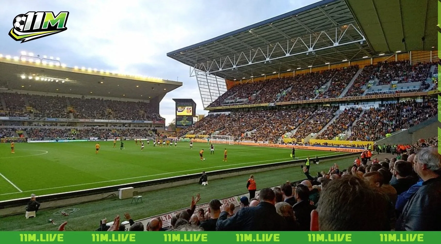 s&acirc;n vận động Molineux