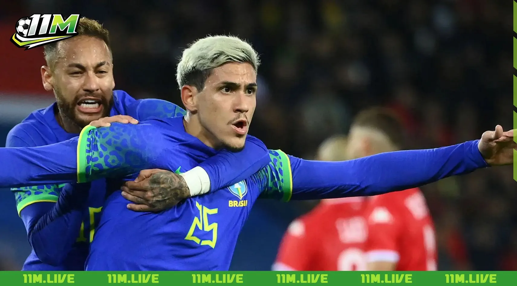 pedro guilherme abreu dos santos