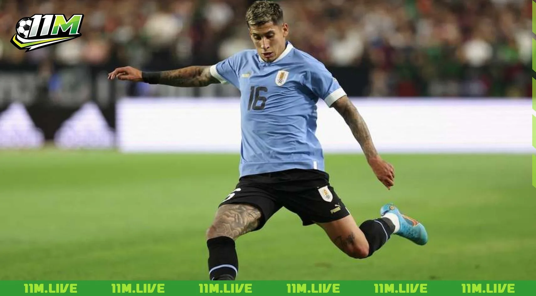 math&iacute;as olivera