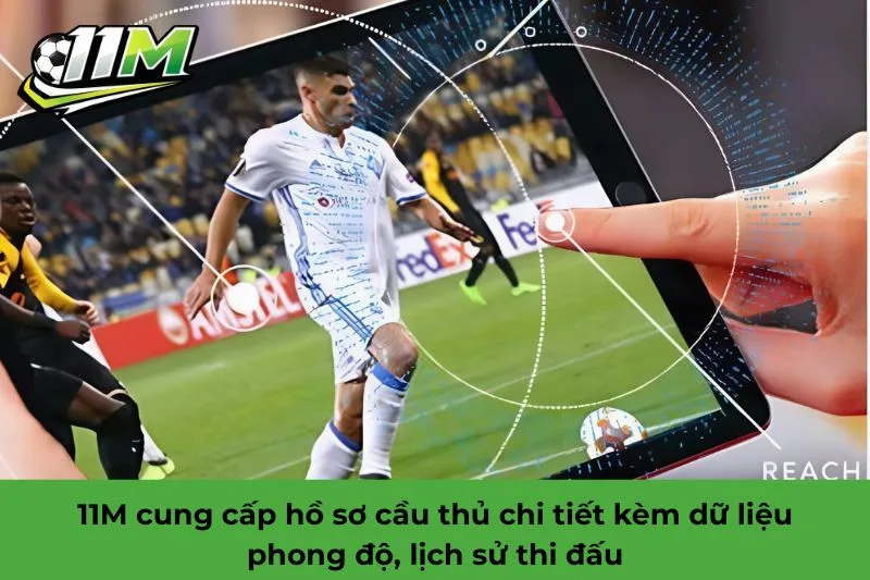 11M l&agrave; g&igrave;