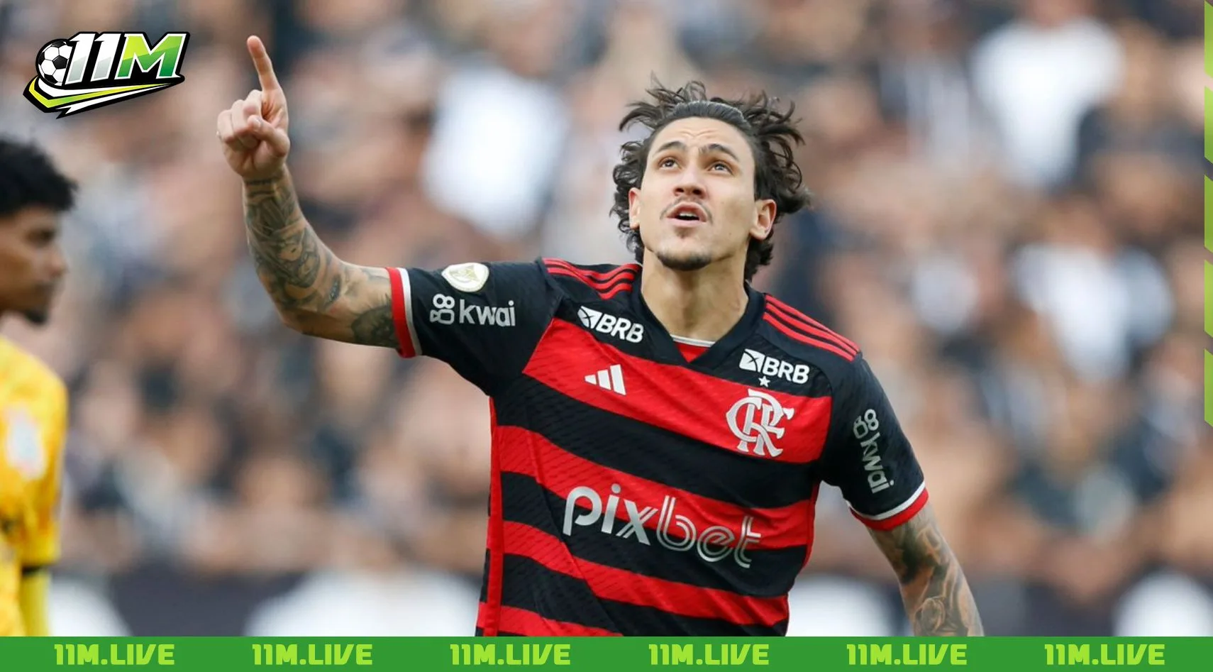 pedro guilherme abreu dos santos