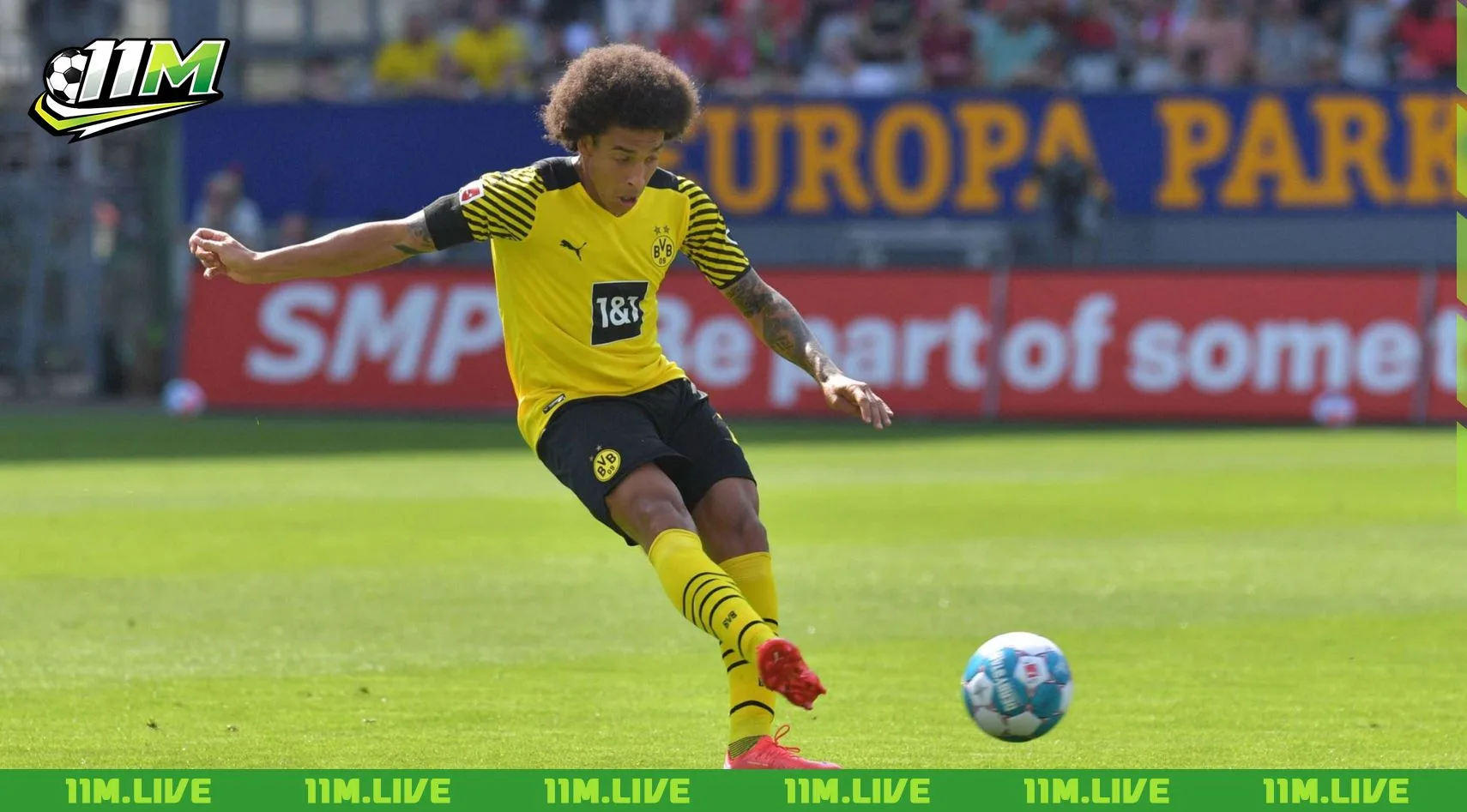 axel witsel
