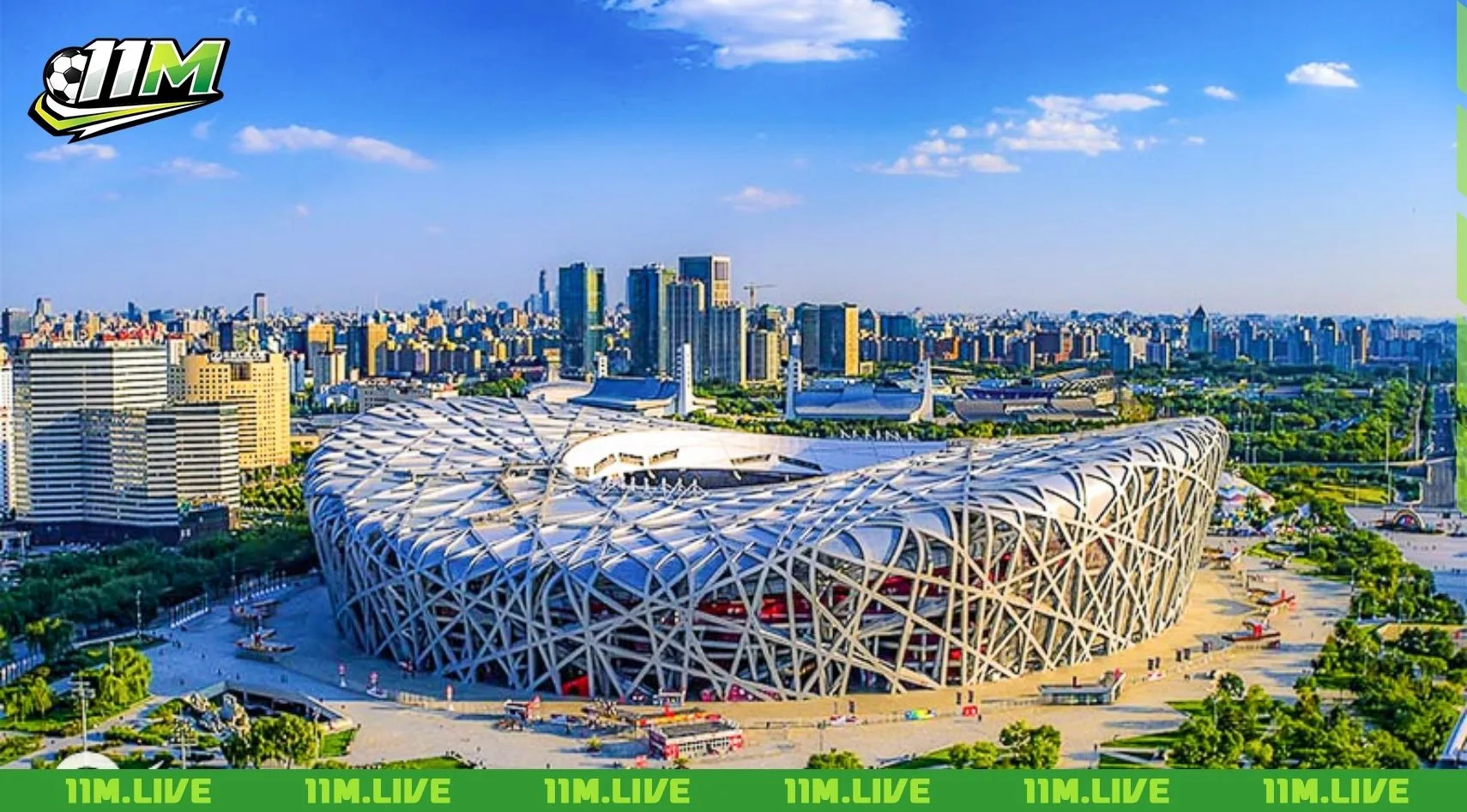 s&acirc;n vận động tổ chim