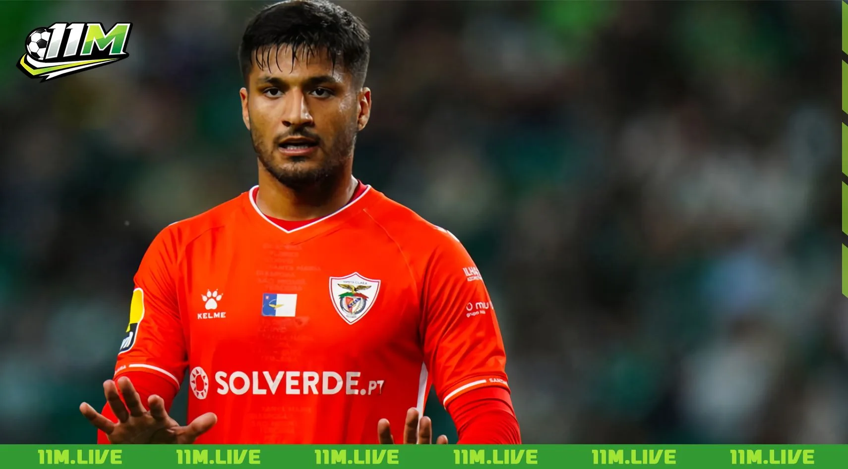 mohammad mehdi mohebi