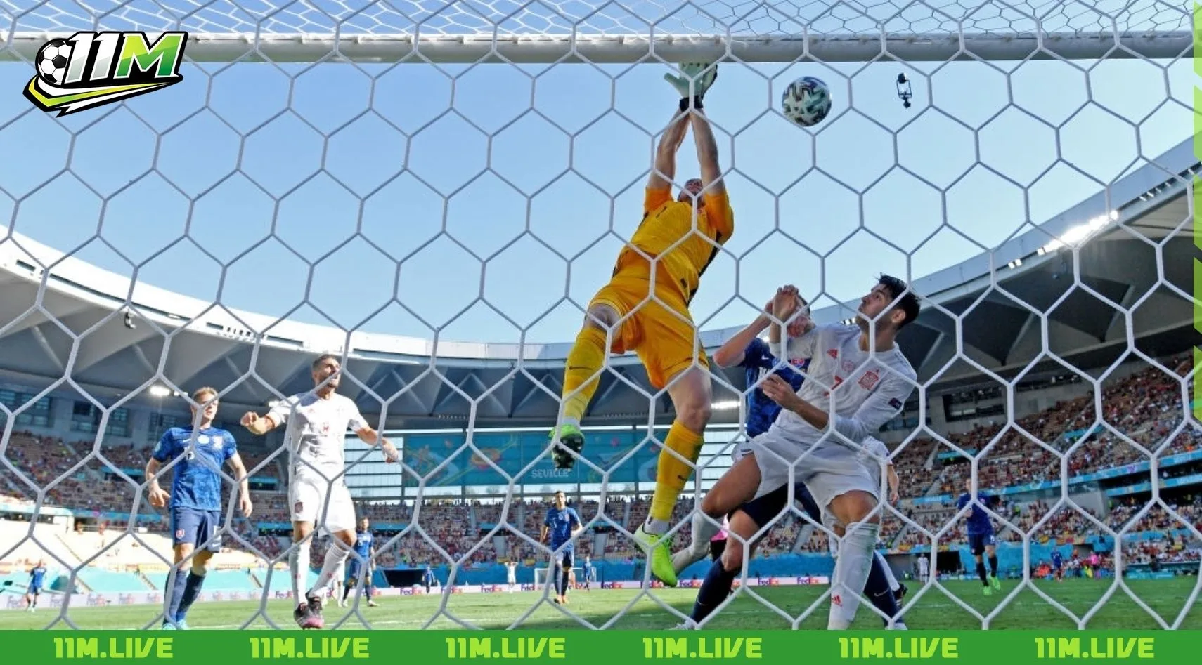 luật giao b&oacute;ng trong b&oacute;ng đ&aacute;