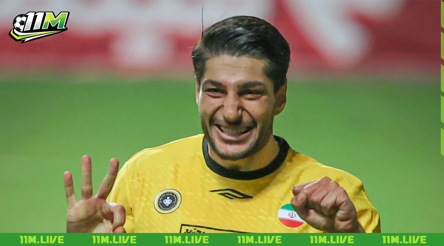 mohammad mehdi mohebi