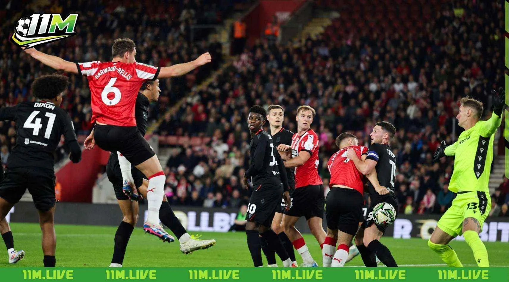 Taylor Harwood-Bellis