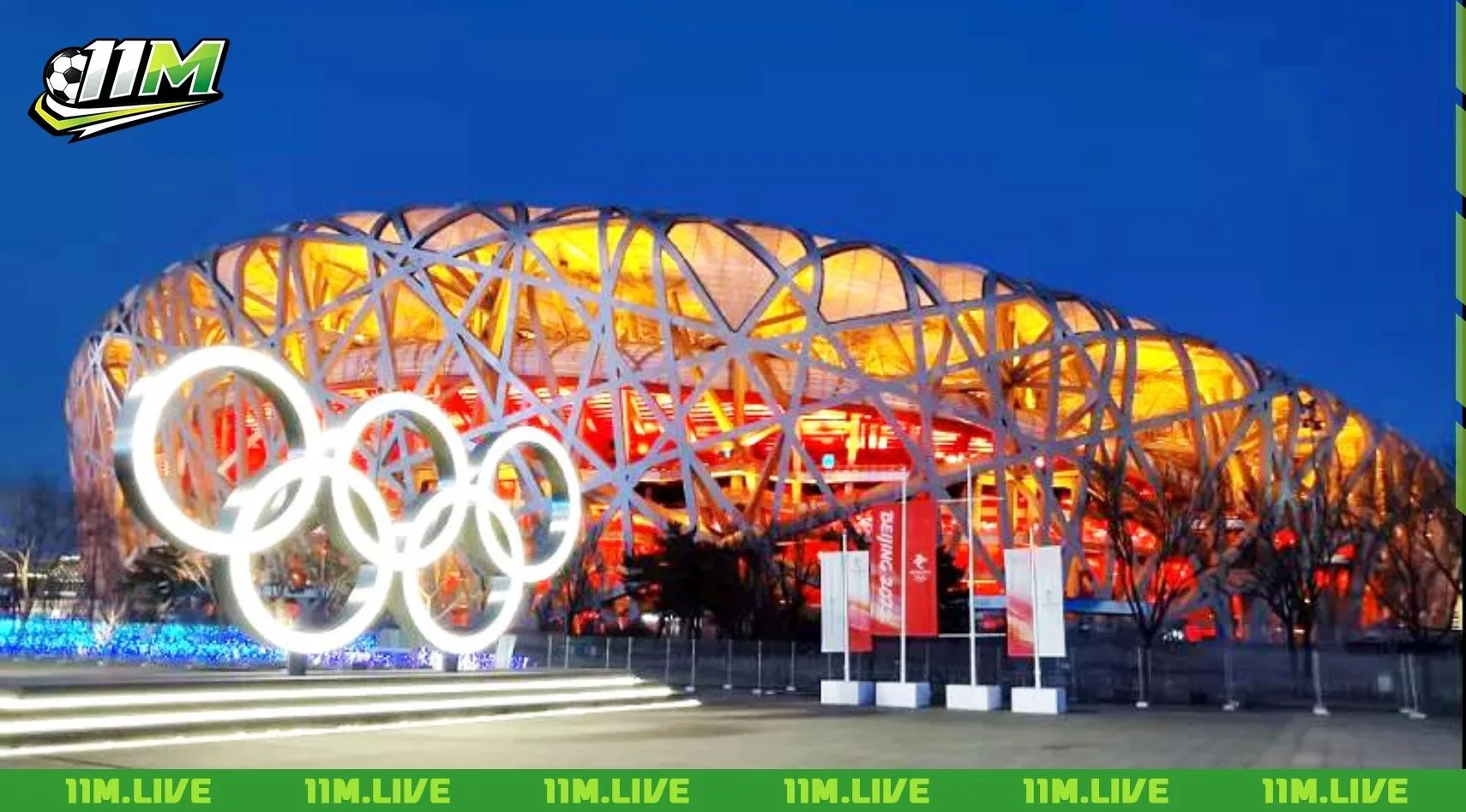 s&acirc;n vận động tổ chim