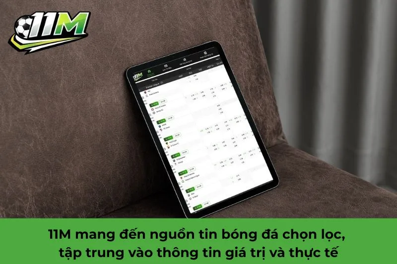 11M l&agrave; g&igrave;