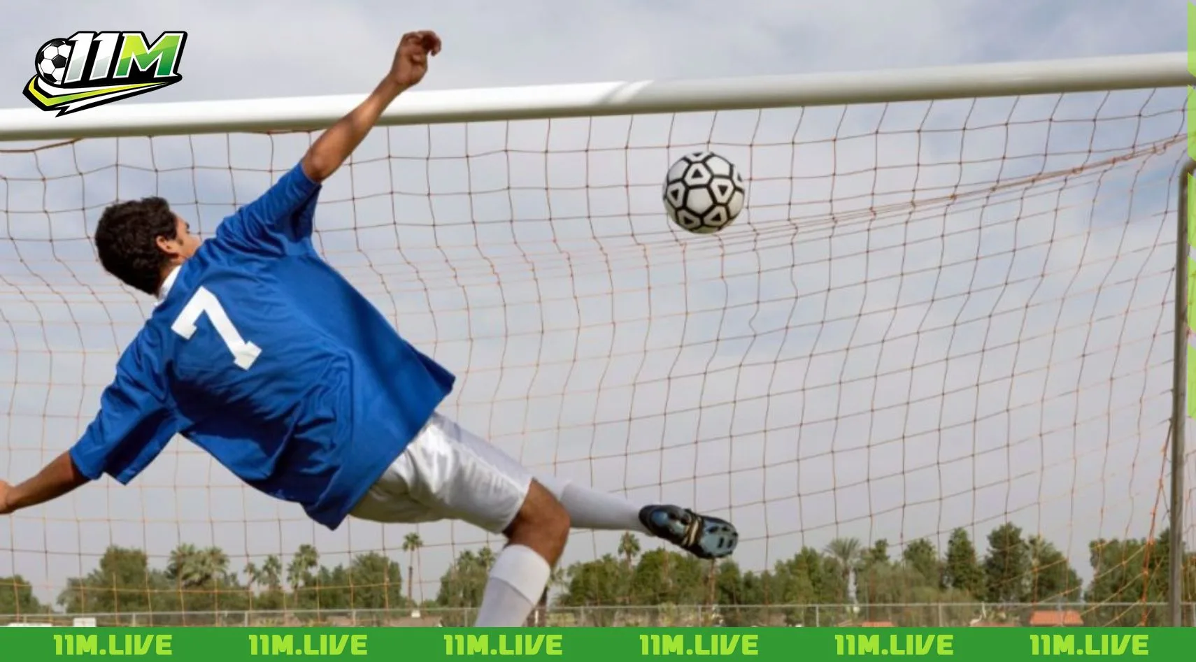 c&uacute; đ&uacute;p