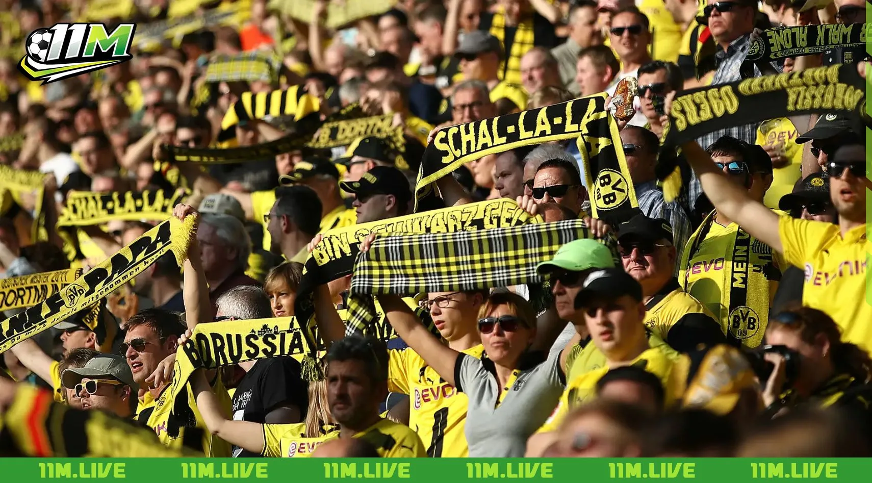 câu lạc bộ bóng đá borussia dortmund