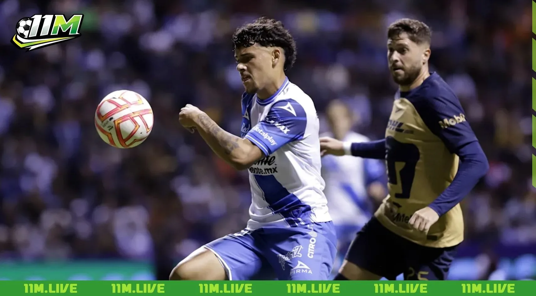 maximiliano ara&uacute;jo