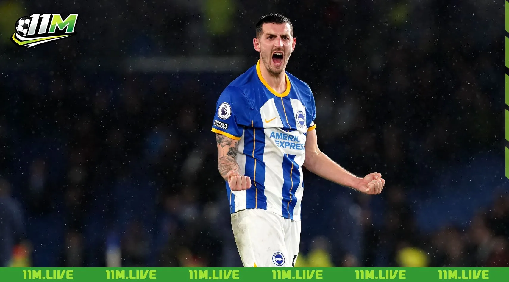 câu lạc bộ bóng đá brighton & hove albion