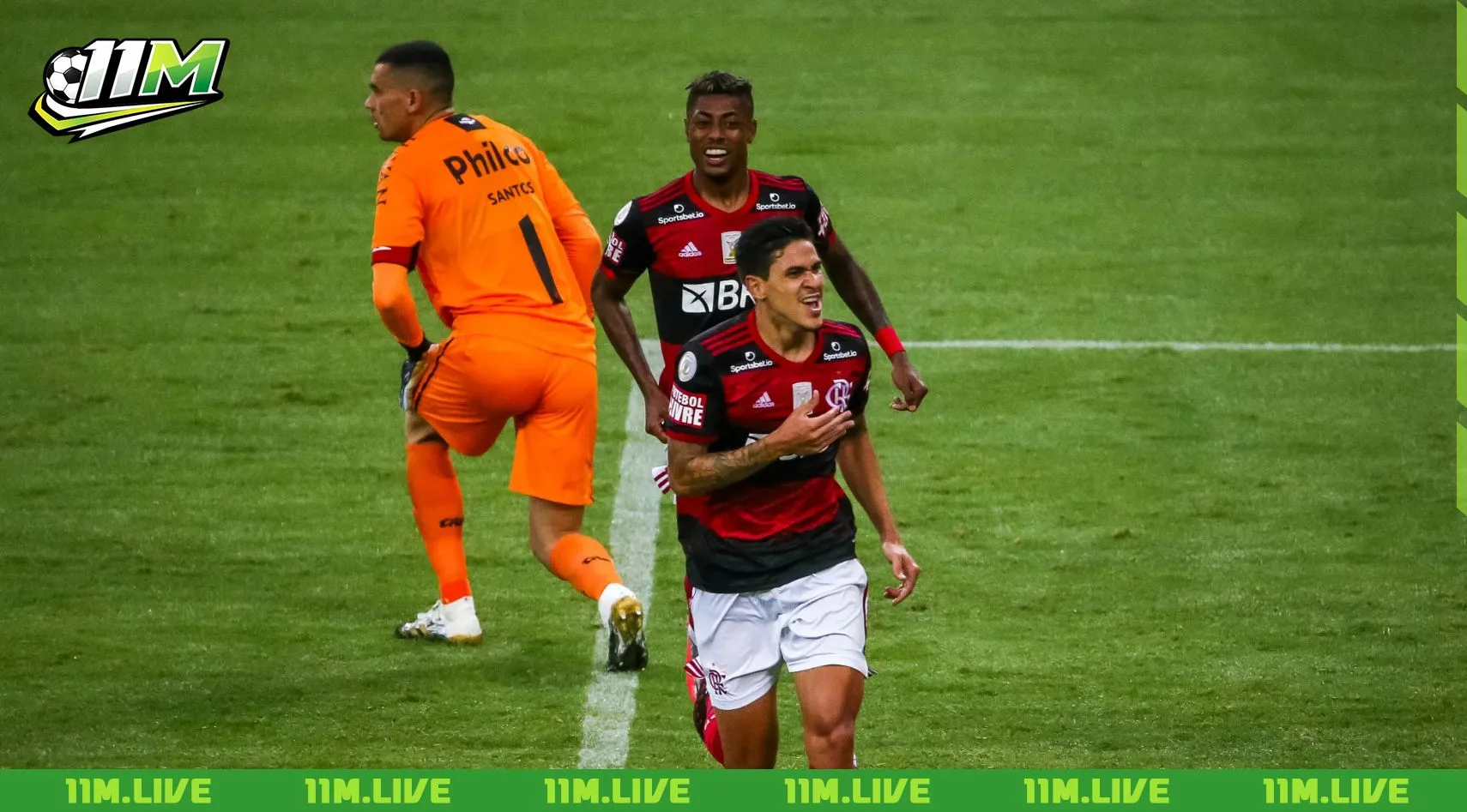 pedro guilherme abreu dos santos