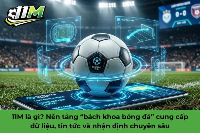 11M l&agrave; g&igrave;