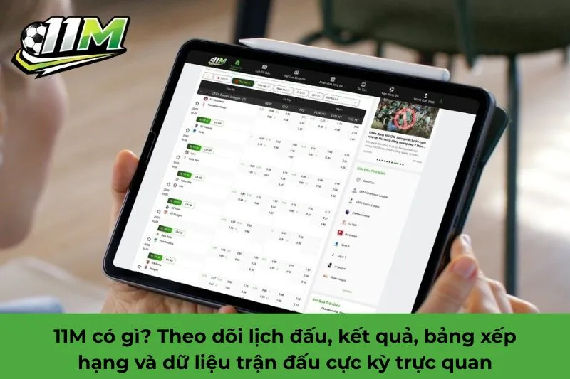 11M có gì