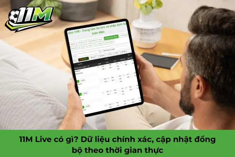 11M live l&agrave; g&igrave;