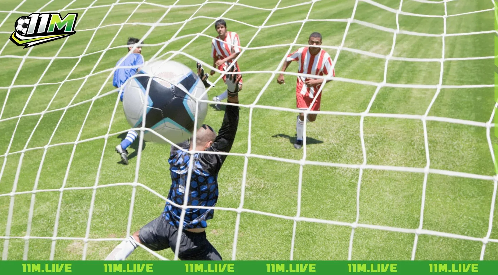 c&uacute; đ&uacute;p