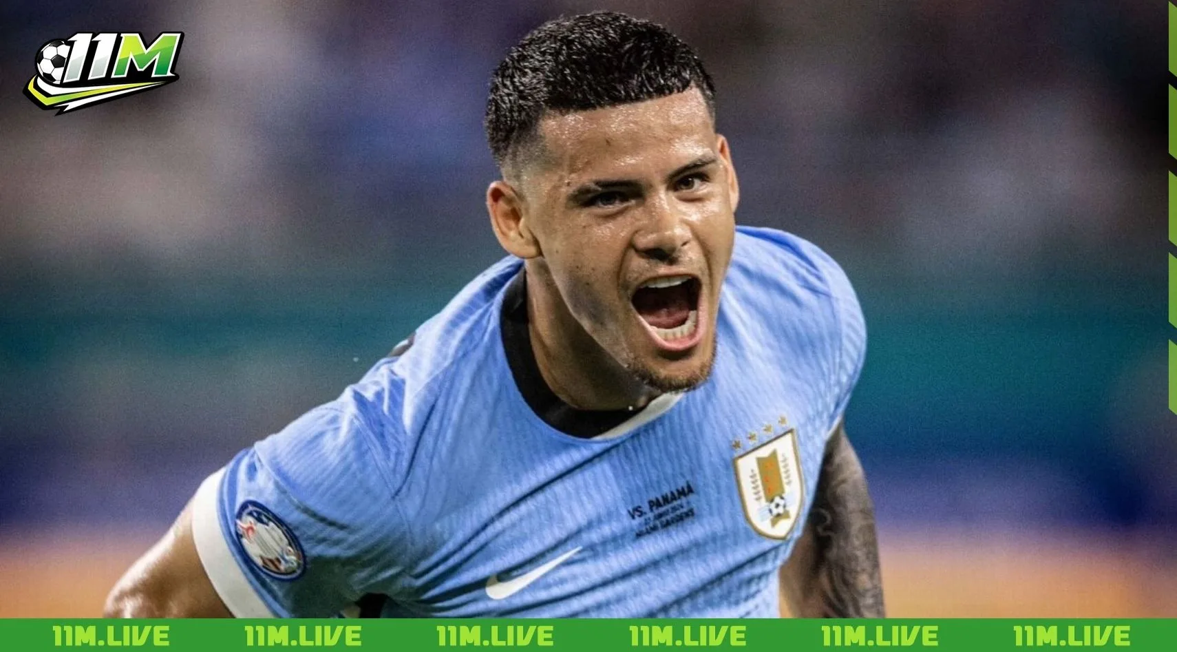 maximiliano ara&uacute;jo