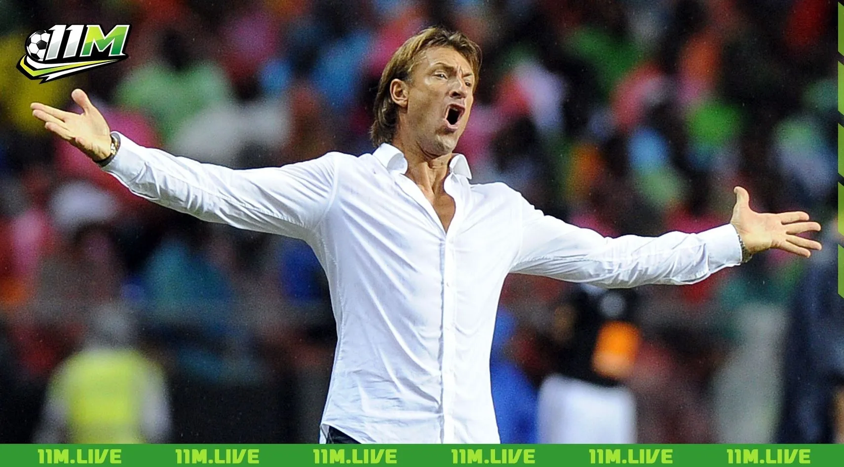 herve renard