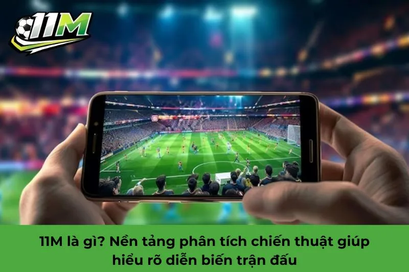 11M l&agrave; g&igrave;