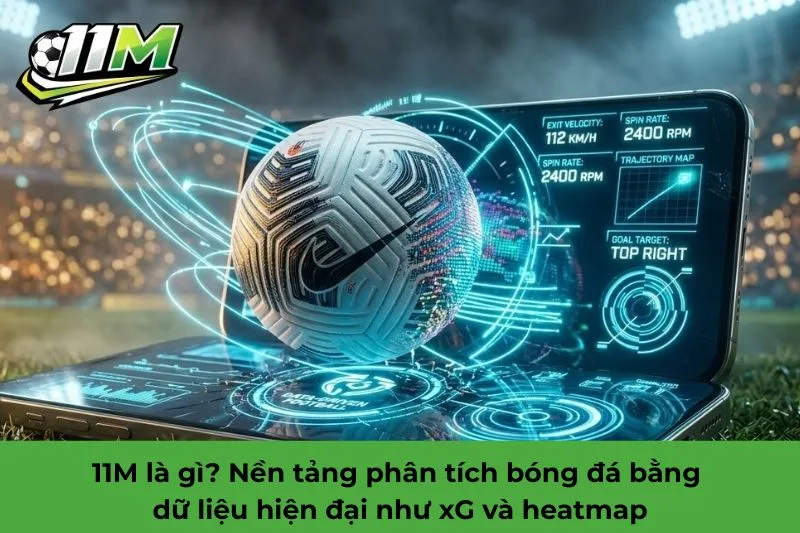 11M l&agrave; g&igrave;