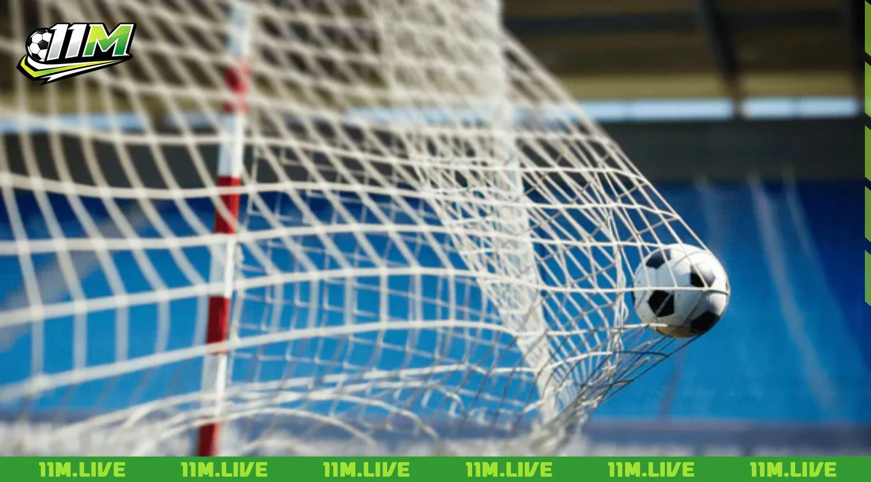 c&uacute; đ&uacute;p