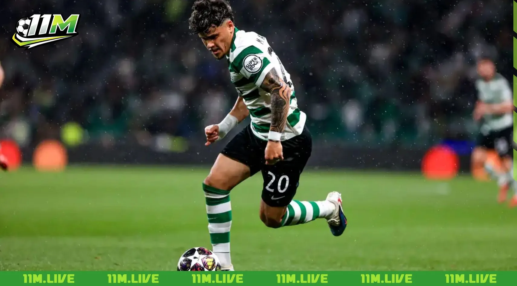 maximiliano ara&uacute;jo