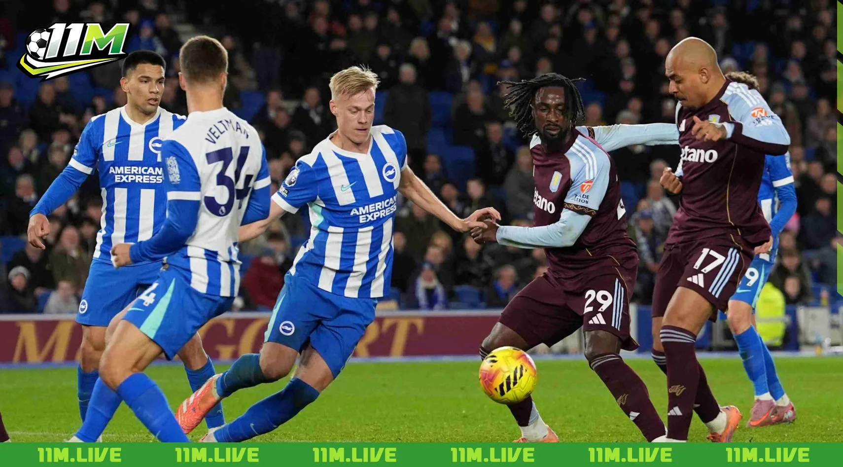 câu lạc bộ bóng đá brighton & hove albion