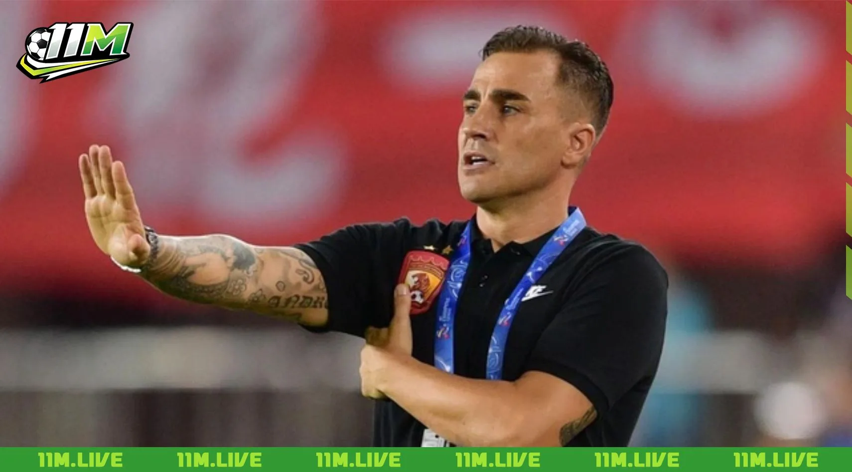 fabio cannavaro