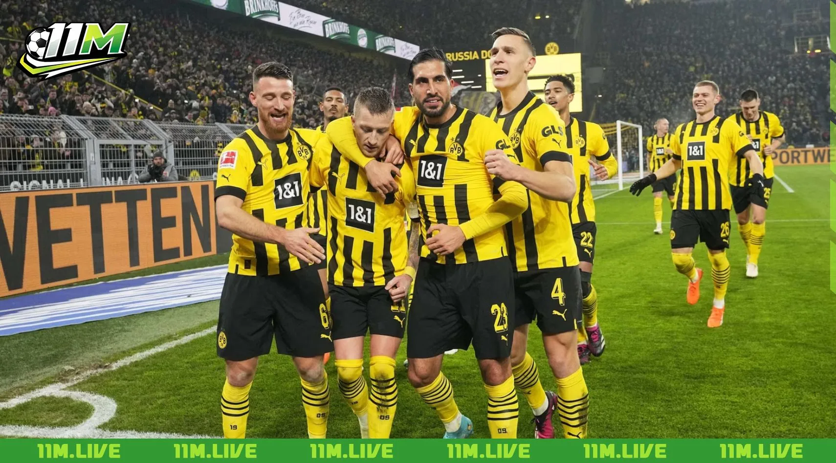 câu lạc bộ bóng đá borussia dortmund