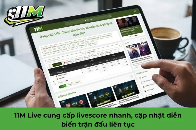 11M live l&agrave; g&igrave;