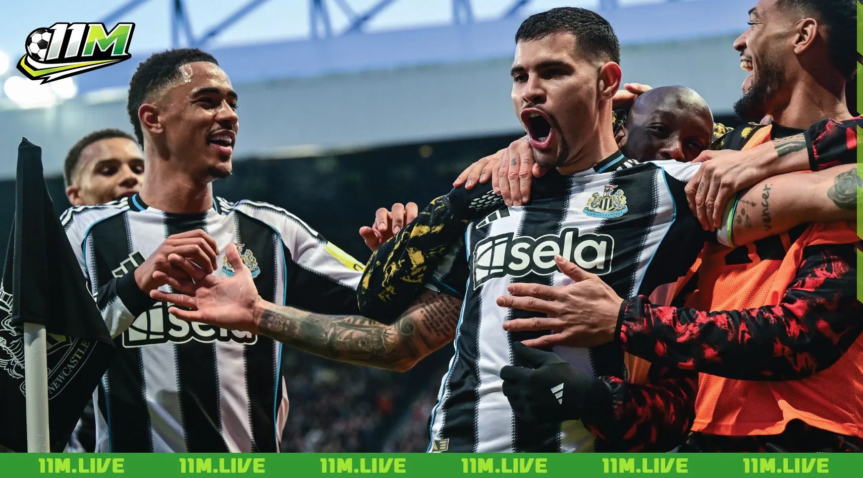 câu lạc bộ bóng đá newcastle united