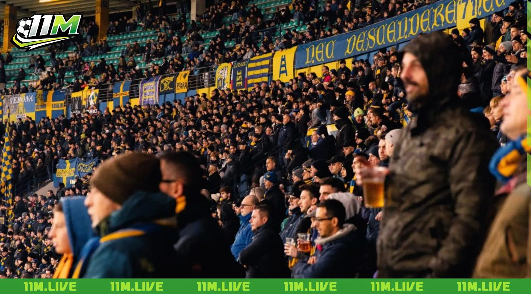 sân vận động marc'antonio bentegodi