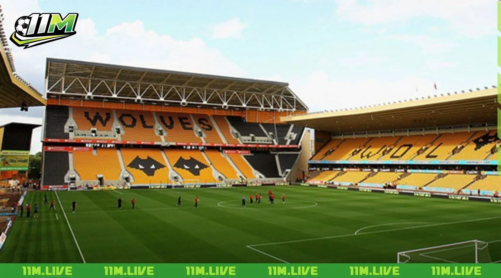 s&acirc;n vận động Molineux