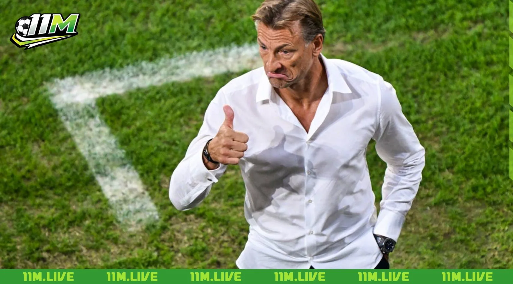 herve renard